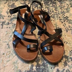 🐝 Strappy Steve Madden Sandel 🐝